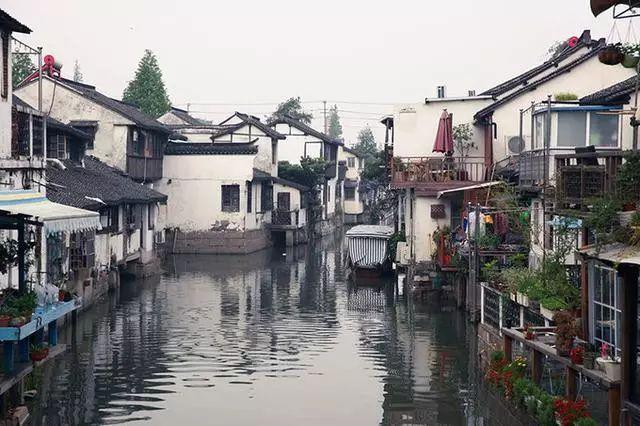 盗金父子俩4